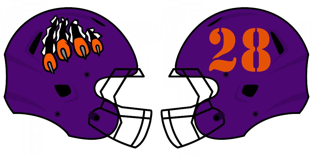 Matte Helmet Decals