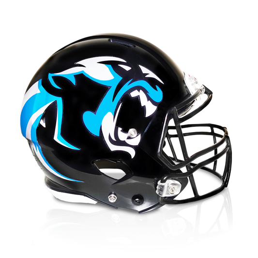 Classic Extreme Oversized Helmet Decals