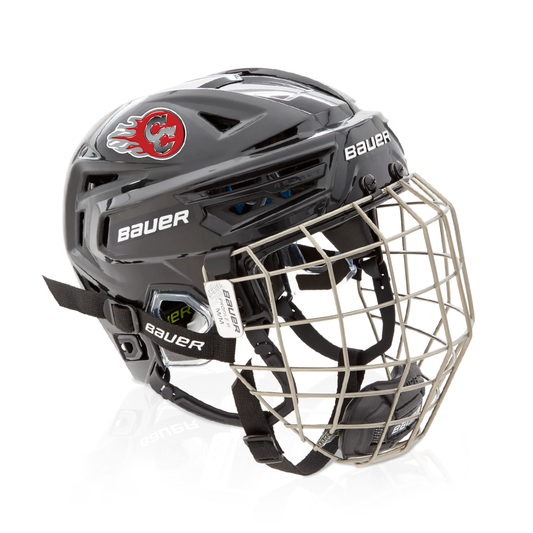 Hockey Helmet Decals